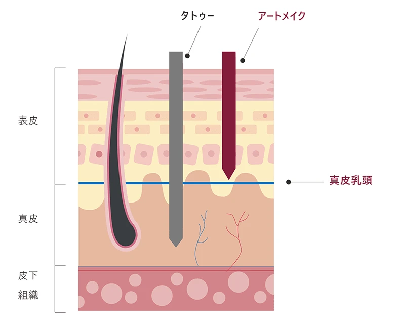 アートメイクの仕組み